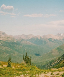 image background